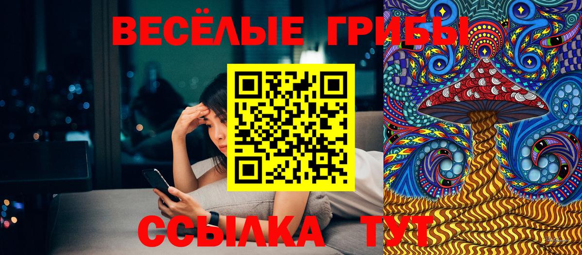 Псилоцибиновые грибы Magic Shrooms  Вход с VPN  Лосино-Петровский 